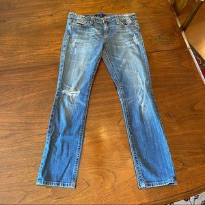 Vigoss Studio Brooklyn Skinny Jeans